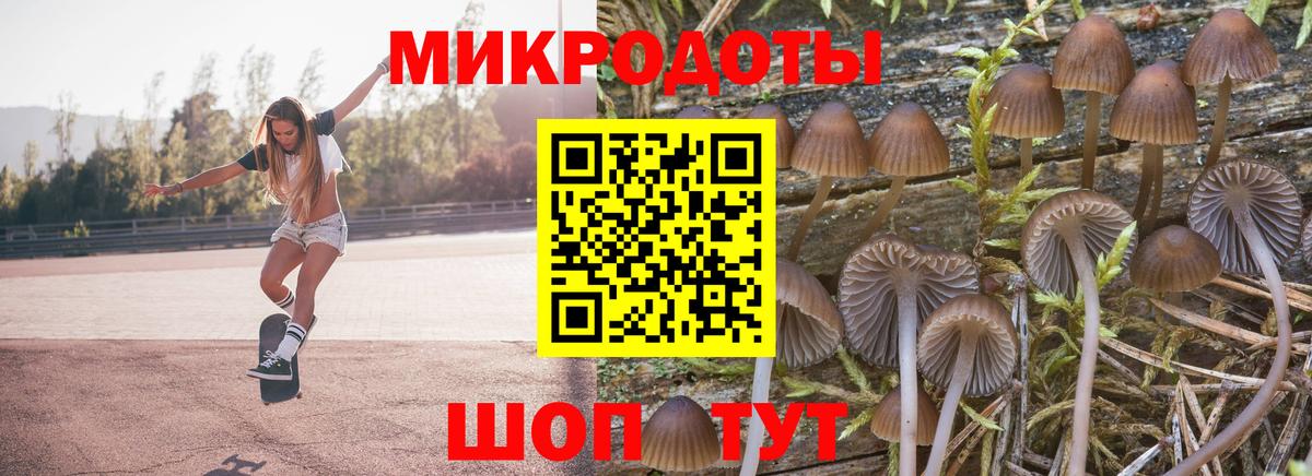 Галлюциногенные грибы GOLDEN TEACHER  Вход с VPN  Новокубанск 