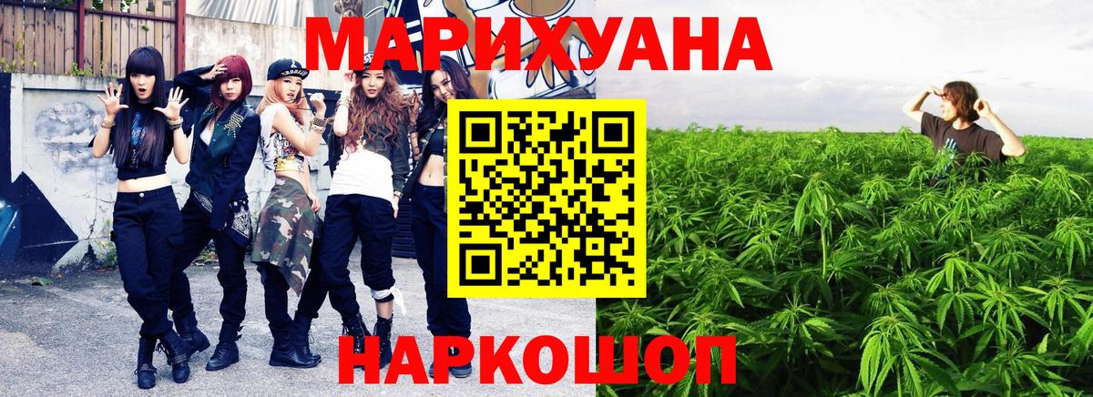 Каннабис конопля Новокубанск